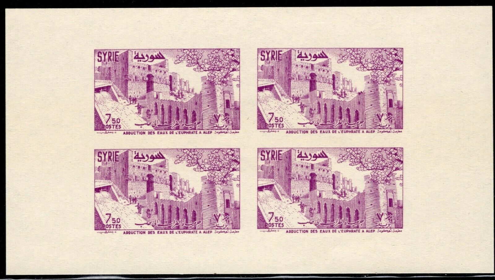 9.24.syria.1955 Aleppo Castle/aqueduckt # Block/souvenir Sheet 29,mnh,scarce