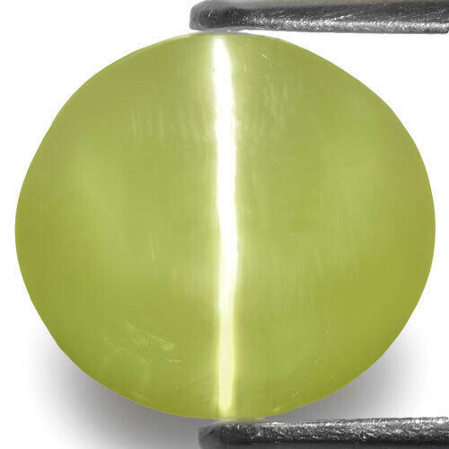INDIA Chrysoberyl Cat's Eye 6.90 Cts Natural Untreated Greyish Yellow Oval