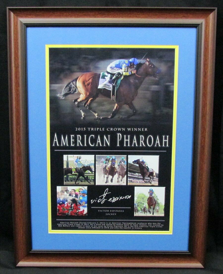American Pharoah Triple Crown Victor Espinoza 11x17 Framed PRINT Collage 126621