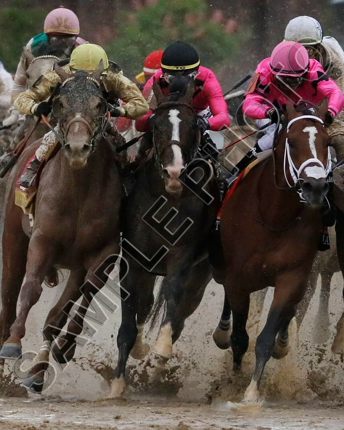 2019 KENTUCKY DERBY COUNTRY HOUSE & MAXIMUM SECURITY BATTLE FOR LEAD 8X10 PHOTO